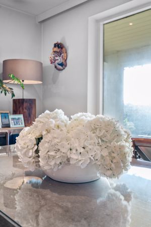 Photo 42- click for photo gallery